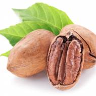 Саджанець Горіх канза пекан